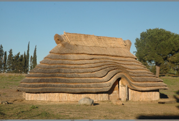 Photo N°1 : DÉCOUVERTE DE RUSCINO